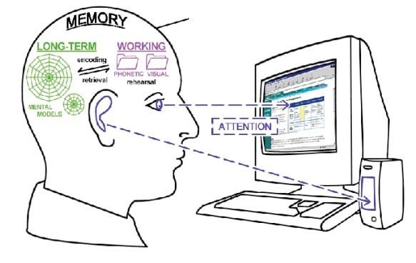 Chơi game từ khi còn nhỏ có thể giúp bạn thông minh hơn, thậm chí nhiều năm sau khi bạn ngừng chơi - Ảnh 3. Chơi game từ khi còn nhỏ có thể giúp bạn thông minh hơn, thậm chí nhiều năm sau khi bạn ngừng chơi - Ảnh 3.