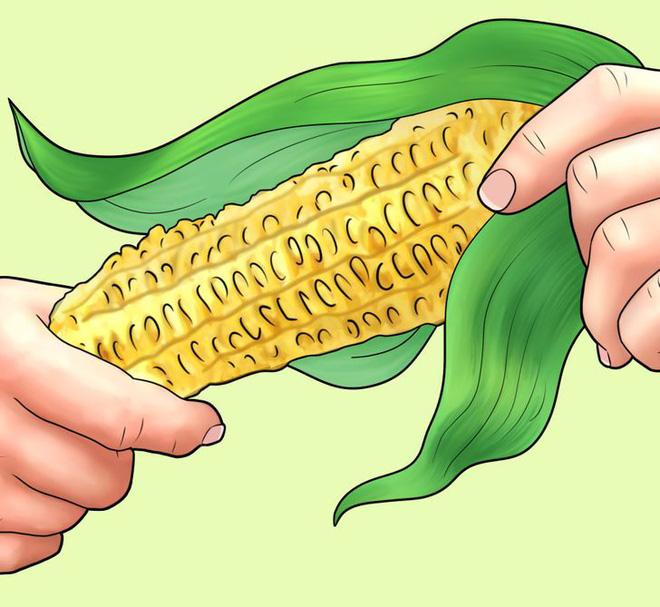 11 thứ con người từng d&ugrave;ng để giải quyết hậu quả trước khi c&oacute; giấy vệ sinh, c&aacute;i cuối c&ugrave;ng đảm bảo khiến bạn cho&aacute;ng to&agrave;n tập - Ảnh 1.