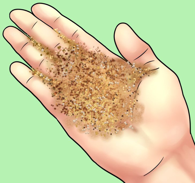 11 thứ con người từng d&ugrave;ng để giải quyết hậu quả trước khi c&oacute; giấy vệ sinh, c&aacute;i cuối c&ugrave;ng đảm bảo khiến bạn cho&aacute;ng to&agrave;n tập - Ảnh 11.