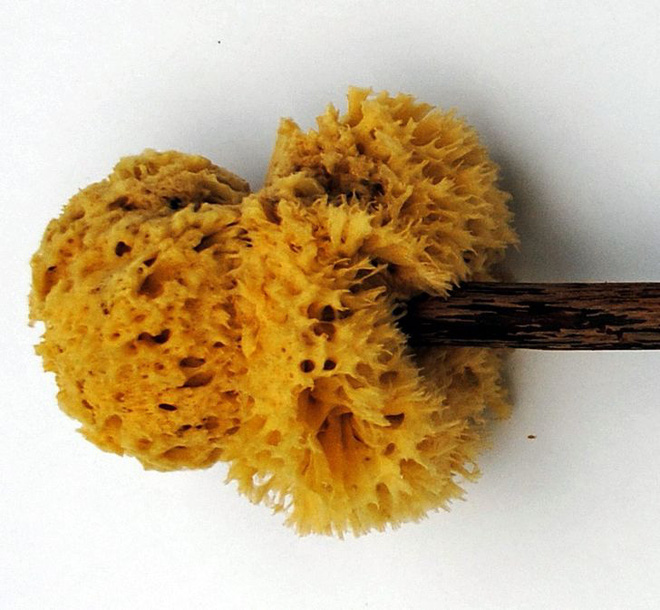 11 thứ con người từng d&ugrave;ng để giải quyết hậu quả trước khi c&oacute; giấy vệ sinh, c&aacute;i cuối c&ugrave;ng đảm bảo khiến bạn cho&aacute;ng to&agrave;n tập - Ảnh 6.