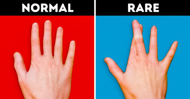 7 việc cực đơn giản nhưng nếu l&agrave;m được, bạn đặc biệt hơn 90% d&acirc;n số thế giới đấy - Ảnh 1.