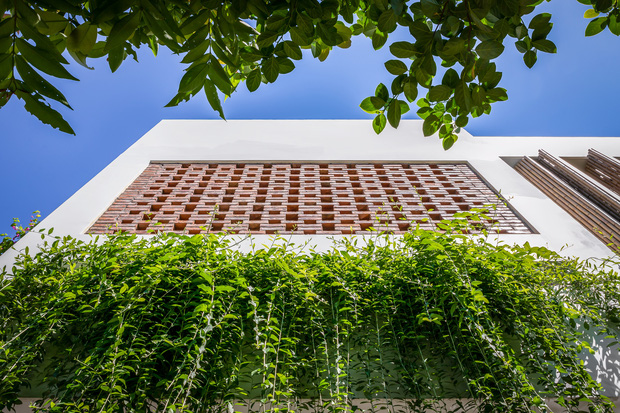 Ng&ocirc;i nh&agrave; 125m2 đẹp như resort của cặp đ&ocirc;i y&ecirc;u nhau từ cấp ba, đầu tư 2 tỷ với thiết kế đưa gi&oacute; v&agrave;o mọi ng&oacute;c ng&aacute;ch - Ảnh 3.