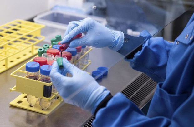 Dịch COVID-19 đang trong giai đoạn nguy cấp ở Bắc bán cầu - Ảnh 1. Dịch COVID-19 đang trong giai đoạn nguy cấp ở Bắc bán cầu - Ảnh 1.