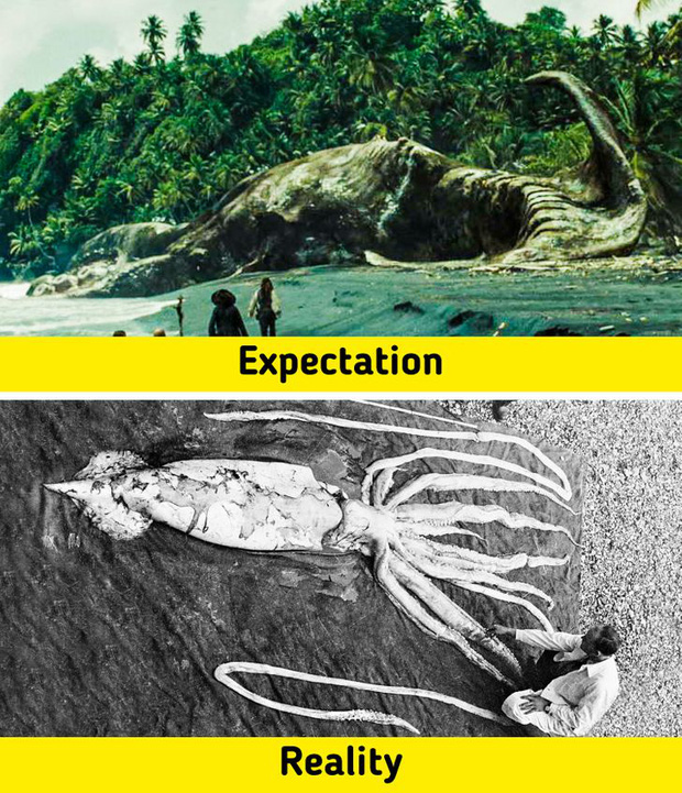 7 sinh vật huyền thoại tưởng chỉ c&oacute; ở phim ảnh nhưng lại từng l&agrave;m mưa l&agrave;m gi&oacute; Tr&aacute;i Đất trong qu&aacute; khứ, n&agrave;ng ti&ecirc;n c&aacute; cũng kh&ocirc;ng ngoại lệ - Ảnh 1.