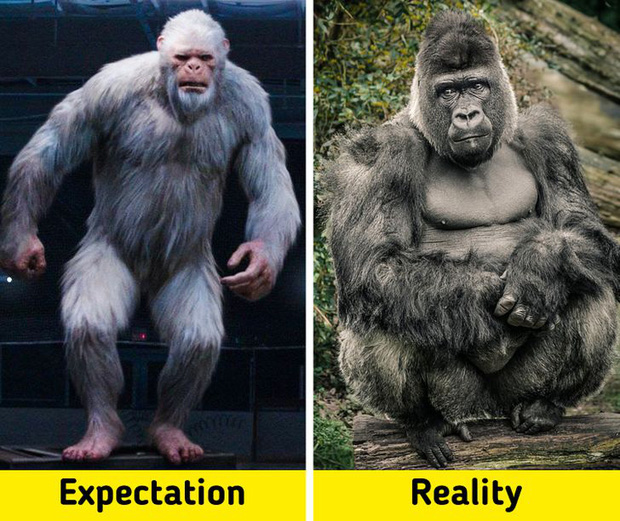 7 sinh vật huyền thoại tưởng chỉ c&oacute; ở phim ảnh nhưng lại từng l&agrave;m mưa l&agrave;m gi&oacute; Tr&aacute;i Đất trong qu&aacute; khứ, n&agrave;ng ti&ecirc;n c&aacute; cũng kh&ocirc;ng ngoại lệ - Ảnh 2.