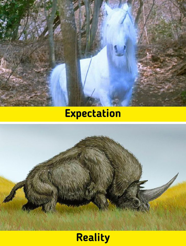 7 sinh vật huyền thoại tưởng chỉ c&oacute; ở phim ảnh nhưng lại từng l&agrave;m mưa l&agrave;m gi&oacute; Tr&aacute;i Đất trong qu&aacute; khứ, n&agrave;ng ti&ecirc;n c&aacute; cũng kh&ocirc;ng ngoại lệ - Ảnh 5.