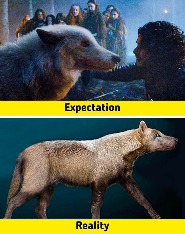 7 sinh vật huyền thoại tưởng chỉ c&oacute; ở phim ảnh nhưng lại từng l&agrave;m mưa l&agrave;m gi&oacute; Tr&aacute;i Đất trong qu&aacute; khứ, n&agrave;ng ti&ecirc;n c&aacute; cũng kh&ocirc;ng ngoại lệ - Ảnh 6.