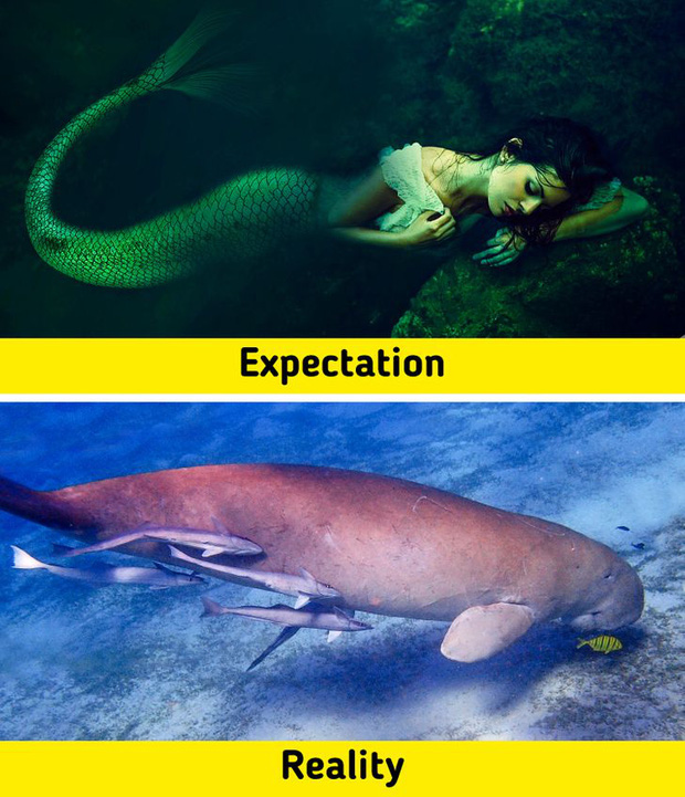 7 sinh vật huyền thoại tưởng chỉ c&oacute; ở phim ảnh nhưng lại từng l&agrave;m mưa l&agrave;m gi&oacute; Tr&aacute;i Đất trong qu&aacute; khứ, n&agrave;ng ti&ecirc;n c&aacute; cũng kh&ocirc;ng ngoại lệ - Ảnh 7.