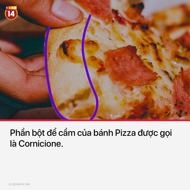 15 thứ bạn nh&igrave;n thấy hằng ng&agrave;y nhưng kh&ocirc;ng hề biết t&ecirc;n ch&uacute;ng l&agrave; g&igrave; - Ảnh 2.