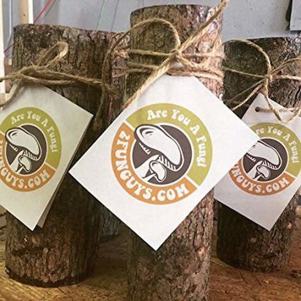 Xương sườn người thật là một trong những mặt hàng quái đản bán chạy nhất trên Amazon - Ảnh 2. Xương sườn người thật là một trong những mặt hàng quái đản bán chạy nhất trên Amazon - Ảnh 2.