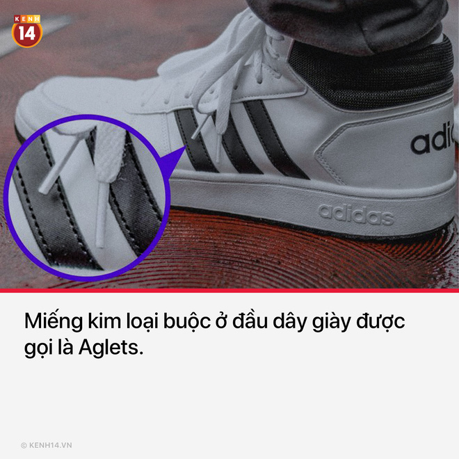 15 thứ bạn nh&igrave;n thấy hằng ng&agrave;y nhưng kh&ocirc;ng hề biết t&ecirc;n ch&uacute;ng l&agrave; g&igrave; - Ảnh 11.