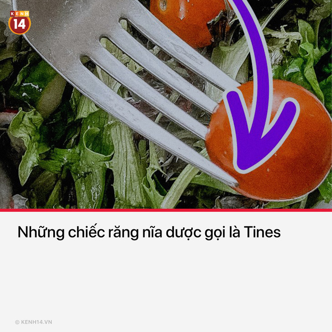 15 thứ bạn nh&igrave;n thấy hằng ng&agrave;y nhưng kh&ocirc;ng hề biết t&ecirc;n ch&uacute;ng l&agrave; g&igrave; - Ảnh 13.