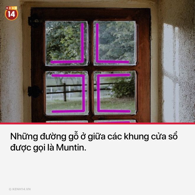 15 thứ bạn nh&igrave;n thấy hằng ng&agrave;y nhưng kh&ocirc;ng hề biết t&ecirc;n ch&uacute;ng l&agrave; g&igrave; - Ảnh 14.