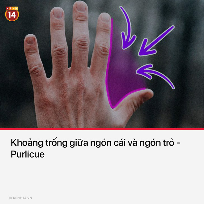 15 thứ bạn nh&igrave;n thấy hằng ng&agrave;y nhưng kh&ocirc;ng hề biết t&ecirc;n ch&uacute;ng l&agrave; g&igrave; - Ảnh 5.