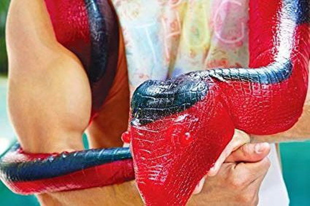 Xương sườn người thật là một trong những mặt hàng quái đản bán chạy nhất trên Amazon - Ảnh 5. Xương sườn người thật là một trong những mặt hàng quái đản bán chạy nhất trên Amazon - Ảnh 5.