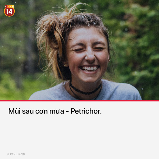 15 thứ bạn nh&igrave;n thấy hằng ng&agrave;y nhưng kh&ocirc;ng hề biết t&ecirc;n ch&uacute;ng l&agrave; g&igrave; - Ảnh 7.
