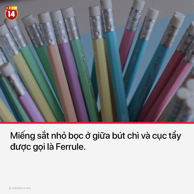 15 thứ bạn nh&igrave;n thấy hằng ng&agrave;y nhưng kh&ocirc;ng hề biết t&ecirc;n ch&uacute;ng l&agrave; g&igrave; - Ảnh 8.