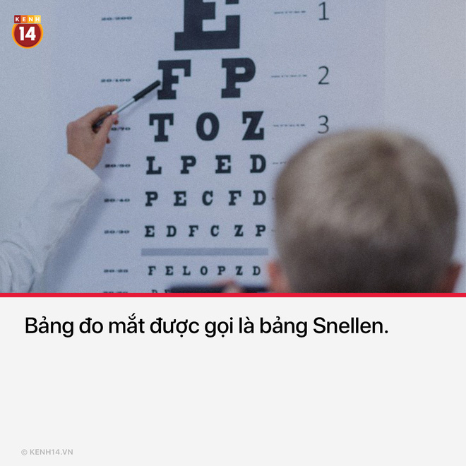 15 thứ bạn nh&igrave;n thấy hằng ng&agrave;y nhưng kh&ocirc;ng hề biết t&ecirc;n ch&uacute;ng l&agrave; g&igrave; - Ảnh 9.