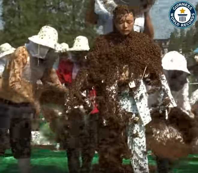 Kỷ lục Guinness đăng video si&ecirc;u dị về người ong đạt hơn 5 triệu lượt xem sau v&agrave;i giờ, d&acirc;n mạng xem xong cũng gai hết cả người - Ảnh 2.