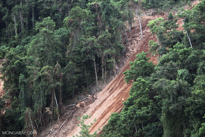 Sự thật đằng sau c&aacute;c vụ sạt lở đất: Thảm họa đứng thứ 7 lịch sử về khả năng g&acirc;y chết người nhưng lại &iacute;t được con người để &yacute; đến - Ảnh 5.