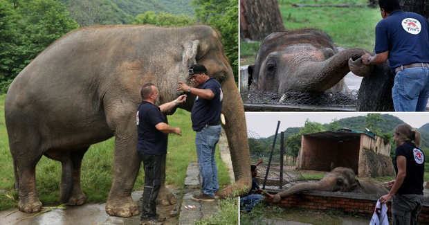  Giữa một năm 2020 đầy biến động đau thương, đ&acirc;y l&agrave; 8 tin cực đ&aacute;ng mừng m&agrave; đảm bảo bạn sẽ rất vui khi nghe thấy  - Ảnh 6.