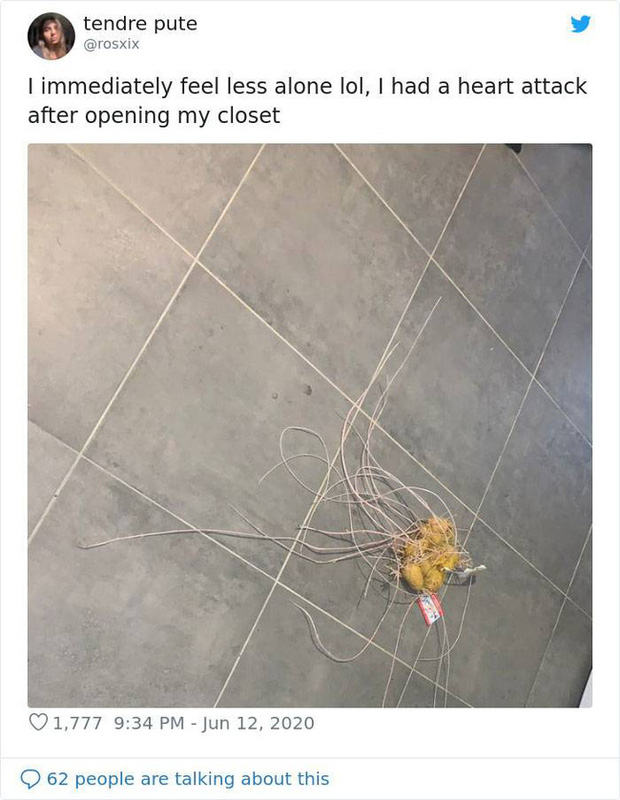 Chỉ một lần đãng trí, người phụ nữ phải lĩnh hậu quả thót tim và loạt ảnh chứng minh nhà nào cũng có thể tồn tại quái vật này nếu không cẩn thận - Ảnh 6. Chỉ một lần đãng trí, người phụ nữ phải lĩnh hậu quả thót tim và loạt ảnh chứng minh nhà nào cũng có thể tồn tại quái vật này nếu không cẩn thận - Ảnh 6.