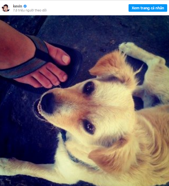  Coder 26 tuổi tạo ra ứng dụng tỷ đ&ocirc; chỉ trong 2 năm nhờ nghe lời bạn g&aacute;i  - Ảnh 3.