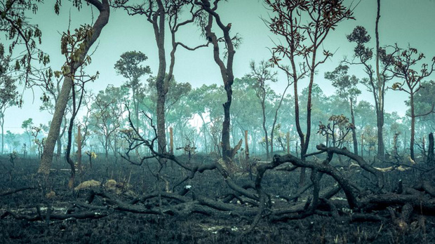 Li&ecirc;n Hợp Quốc cảnh b&aacute;o về một kỷ nguy&ecirc;n dịch bệnh, v&agrave; ch&uacute;ng ta cần phải bảo vệ một thứ để tương lai ấy kh&ocirc;ng xảy ra - Ảnh 3.