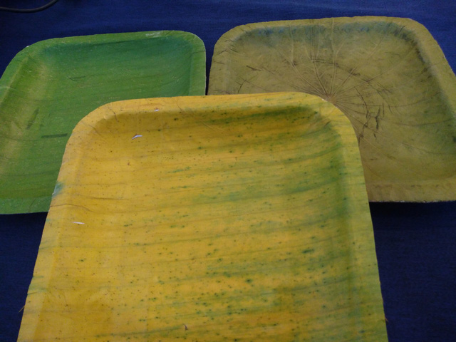 Nhóm bạn trẻ TP.HCM đạt giải Nhất cuộc thi khởi nghiệp nhờ ép lá chuối thành hộp, đĩa đựng thức ăn: Tự phân hủy, thay thế hoàn toàn hộp xốp, hộp nhựa - Ảnh 3. Nhóm bạn trẻ TP.HCM đạt giải Nhất cuộc thi khởi nghiệp nhờ ép lá chuối thành hộp, đĩa đựng thức ăn: Tự phân hủy, thay thế hoàn toàn hộp xốp, hộp nhựa - Ảnh 3.