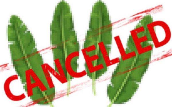  Nỗi buồn startup: Vừa đoạt Giải Nhất, dự &aacute;n &eacute;p l&aacute; chuối th&agrave;nh hộp đ&atilde; bị ng&oacute;t ngh&eacute;t 10 b&ecirc;n tranh đăng k&yacute; thương hiệu, t&ecirc;n miền cũng bị mua sạch!  - Ảnh 1.