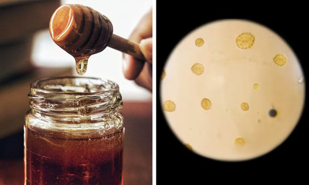 Loạt ảnh những vật dụng hằng ngày trong cuộc sống được soi dưới kính hiển vi khiến ai nhìn vào cũng phải kinh ngạc - Ảnh 17. Loạt ảnh những vật dụng hằng ngày trong cuộc sống được soi dưới kính hiển vi khiến ai nhìn vào cũng phải kinh ngạc - Ảnh 17.