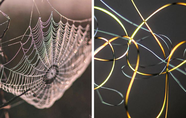 Loạt ảnh những vật dụng hằng ngày trong cuộc sống được soi dưới kính hiển vi khiến ai nhìn vào cũng phải kinh ngạc - Ảnh 19. Loạt ảnh những vật dụng hằng ngày trong cuộc sống được soi dưới kính hiển vi khiến ai nhìn vào cũng phải kinh ngạc - Ảnh 19.