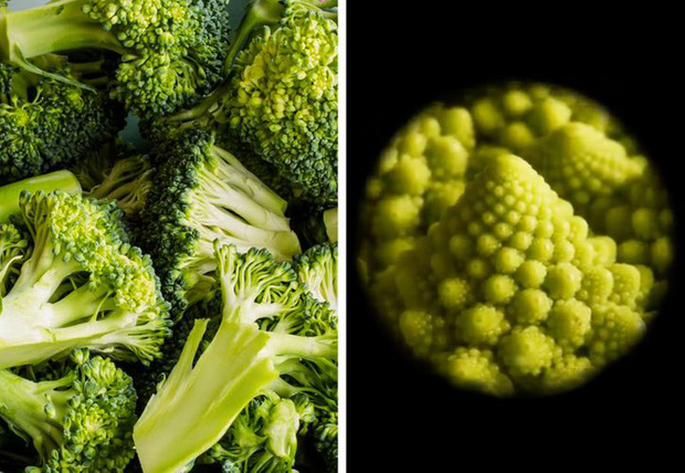 Loạt ảnh những vật dụng hằng ngày trong cuộc sống được soi dưới kính hiển vi khiến ai nhìn vào cũng phải kinh ngạc - Ảnh 8. Loạt ảnh những vật dụng hằng ngày trong cuộc sống được soi dưới kính hiển vi khiến ai nhìn vào cũng phải kinh ngạc - Ảnh 8.