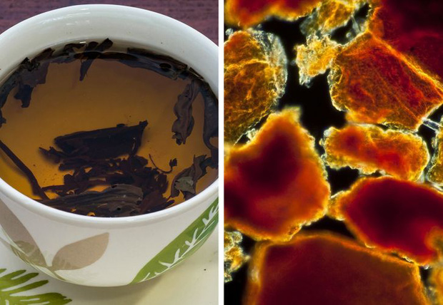 Loạt ảnh những vật dụng hằng ngày trong cuộc sống được soi dưới kính hiển vi khiến ai nhìn vào cũng phải kinh ngạc - Ảnh 10. Loạt ảnh những vật dụng hằng ngày trong cuộc sống được soi dưới kính hiển vi khiến ai nhìn vào cũng phải kinh ngạc - Ảnh 10.