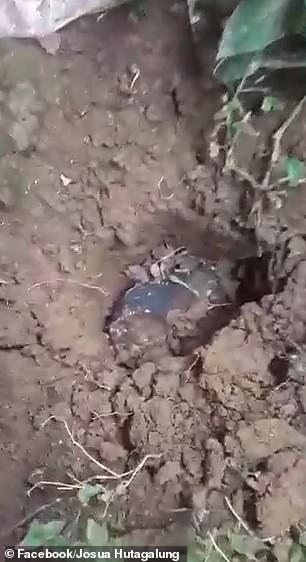 Ch&agrave;ng trai bị thi&ecirc;n thạch 43 tỷ đồng rơi thủng m&aacute;i nh&agrave;, gi&agrave;u sang ập tới trở tay kh&ocirc;ng kịp - Ảnh 1.