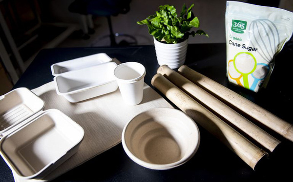  Cửa s&aacute;ng cho việc bảo vệ m&ocirc;i trường: Hộp đựng thực phẩm l&agrave;m từ tre v&agrave; b&atilde; m&iacute;a sẽ ph&acirc;n hủy sinh học trong 60 ng&agrave;y  - Ảnh 1.