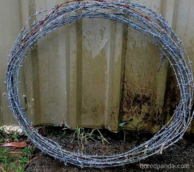 Bộ ảnh Nếu năm 2020 l&agrave; đ&acirc;y, xem xong chỉ muốn ngủ một giấc sang 2021 cho thảnh thơi - Ảnh 11.