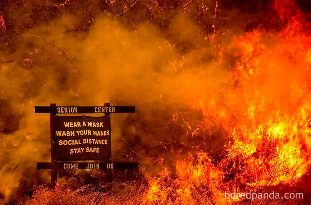 Bộ ảnh Nếu năm 2020 l&agrave; đ&acirc;y, xem xong chỉ muốn ngủ một giấc sang 2021 cho thảnh thơi - Ảnh 20.