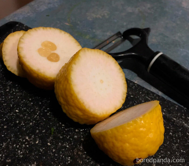 Bộ ảnh Nếu năm 2020 l&agrave; đ&acirc;y, xem xong chỉ muốn ngủ một giấc sang 2021 cho thảnh thơi - Ảnh 4.