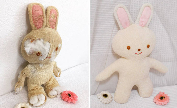 Độc lạ ph&ograve;ng kh&aacute;m chữa bệnh cho ... th&uacute; nhồi b&ocirc;ng ở Nhật, viện ph&iacute; c&oacute; thể l&ecirc;n đến 111 triệu - Ảnh 6.