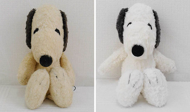 Độc lạ ph&ograve;ng kh&aacute;m chữa bệnh cho ... th&uacute; nhồi b&ocirc;ng ở Nhật, viện ph&iacute; c&oacute; thể l&ecirc;n đến 111 triệu - Ảnh 7.