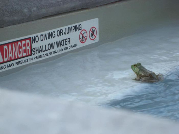 Khi những tay m&aacute;y nghiệp dư rủ nhau đi chụp ảnh động vật v&agrave; loạt ảnh xấu để đời đủ khiến d&acirc;n mạng cười đến mấy ng&agrave;y - Ảnh 15.