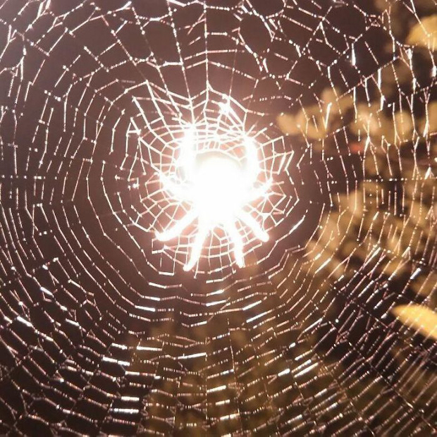 Khi những tay m&aacute;y nghiệp dư rủ nhau đi chụp ảnh động vật v&agrave; loạt ảnh xấu để đời đủ khiến d&acirc;n mạng cười đến mấy ng&agrave;y - Ảnh 25.