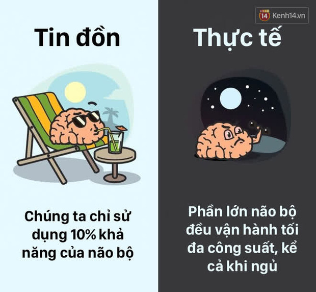12 lầm tưởng về cơ thể ch&uacute;ng ta m&agrave; rất nhiều người hiểu sai, nay đ&atilde; được khoa học b&oacute;c trần - Ảnh 1.