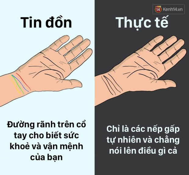 12 lầm tưởng về cơ thể ch&uacute;ng ta m&agrave; rất nhiều người hiểu sai, nay đ&atilde; được khoa học b&oacute;c trần - Ảnh 11.