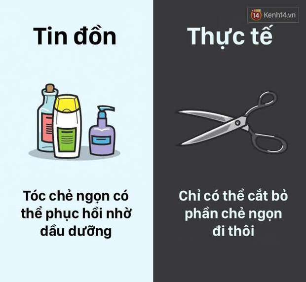 12 lầm tưởng về cơ thể ch&uacute;ng ta m&agrave; rất nhiều người hiểu sai, nay đ&atilde; được khoa học b&oacute;c trần - Ảnh 3.