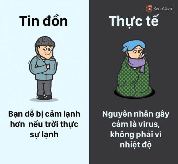 12 lầm tưởng về cơ thể ch&uacute;ng ta m&agrave; rất nhiều người hiểu sai, nay đ&atilde; được khoa học b&oacute;c trần - Ảnh 5.
