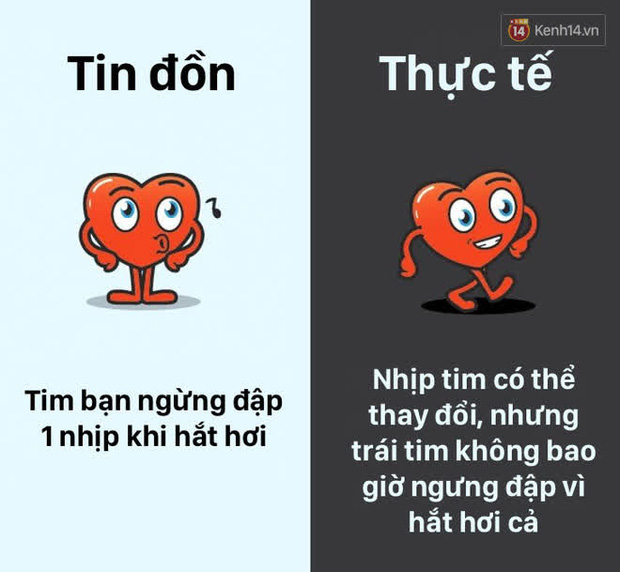 12 lầm tưởng về cơ thể ch&uacute;ng ta m&agrave; rất nhiều người hiểu sai, nay đ&atilde; được khoa học b&oacute;c trần - Ảnh 6.