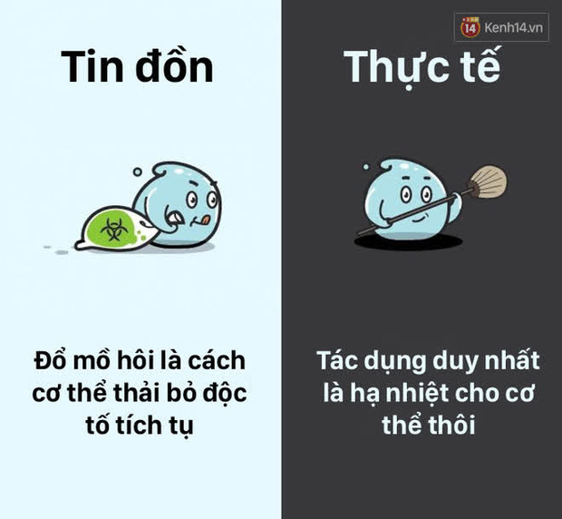 12 lầm tưởng về cơ thể ch&uacute;ng ta m&agrave; rất nhiều người hiểu sai, nay đ&atilde; được khoa học b&oacute;c trần - Ảnh 7.