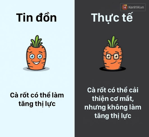 12 lầm tưởng về cơ thể ch&uacute;ng ta m&agrave; rất nhiều người hiểu sai, nay đ&atilde; được khoa học b&oacute;c trần - Ảnh 8.